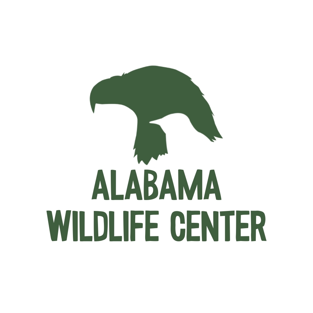 Lovebirds Paint N Sip 2026 - logo